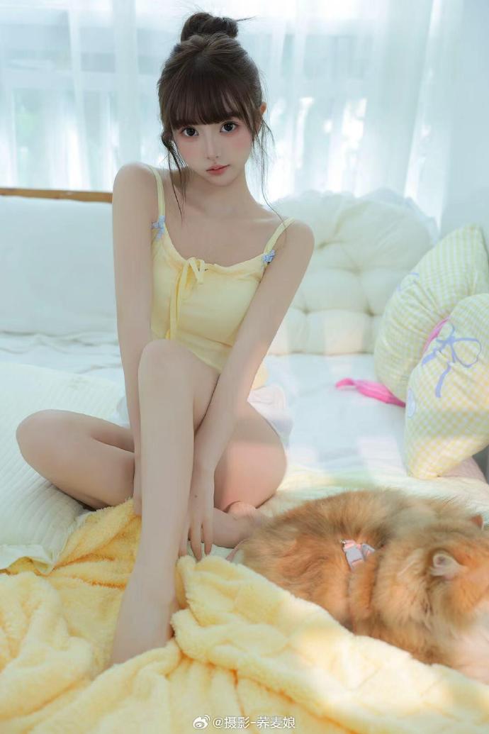 解剖大师 海报